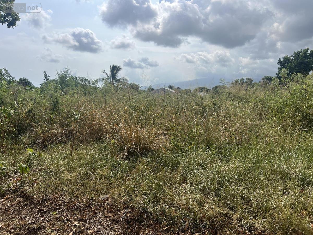 Terrain a batir a vendre Saint-Pierre 97410 Réunion 528 m2  197040 euros