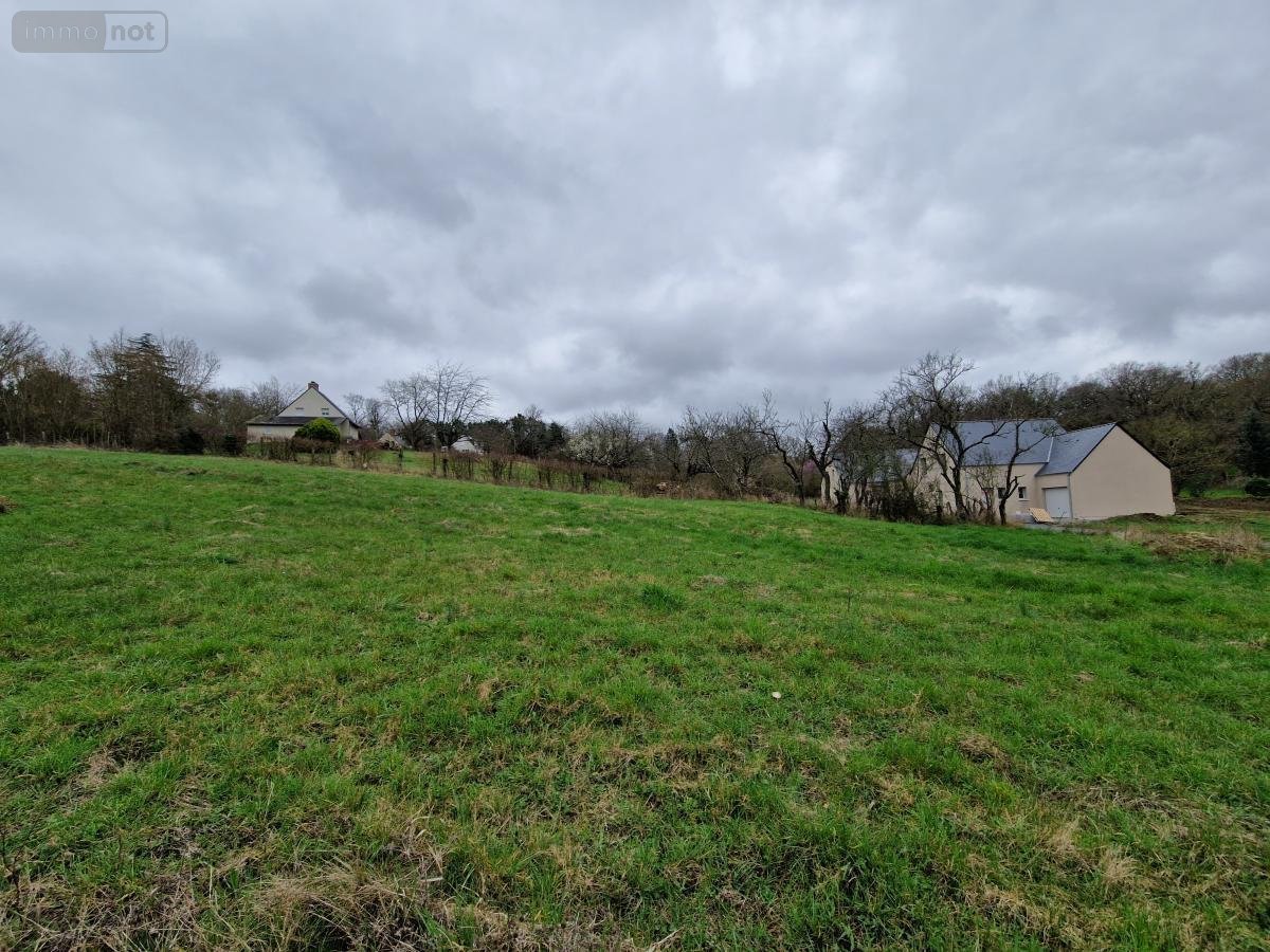 Terrain a batir a vendre Blaison-Saint-Sulpice 49320 Maine-et-Loire 657 m2  65936 euros