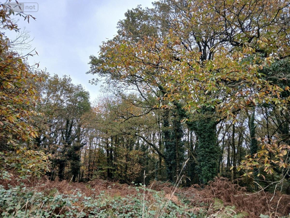Terrains de loisirs bois etangs a vendre Allaire 56350 Morbihan 7515 m2  7500 euros