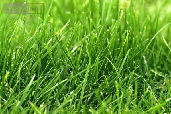 Terrain a batir a vendre Lamballe-Armor 22400 Côtes-d'Armor 389 m2  43000 euros
