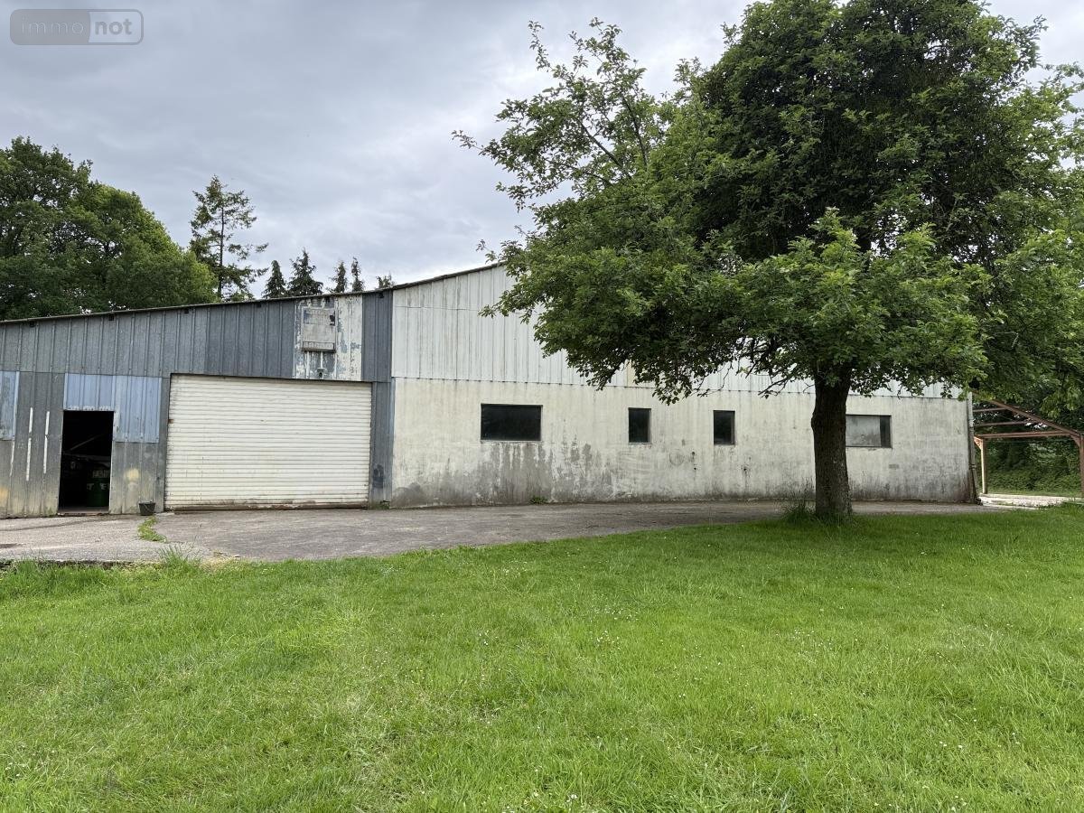 Immeuble a vendre Ménéac 56490 Morbihan 300 m2  74500 euros