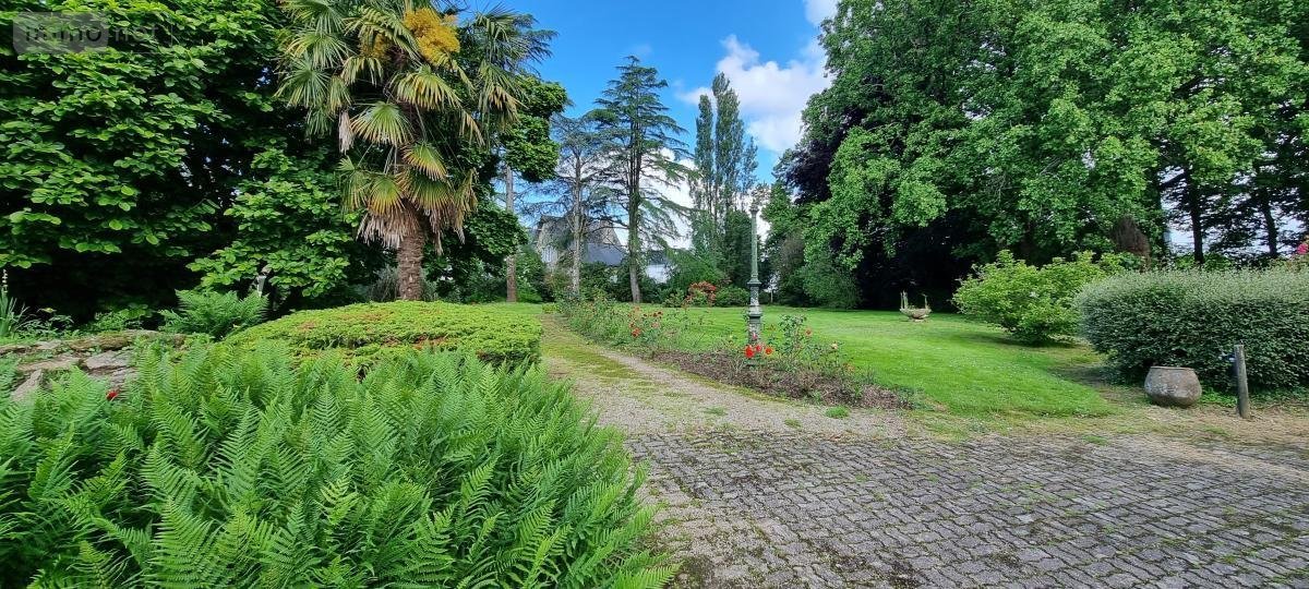Terrain a batir a vendre Questembert 56230 Morbihan 3643 m2  591960 euros