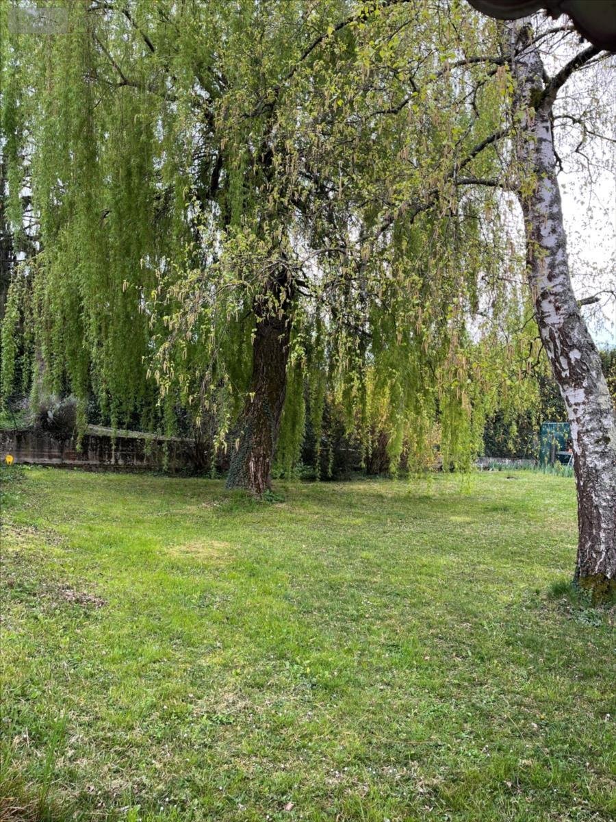 Terrain a batir a vendre Saint-Maurice-de-Beynost 01700 Ain 551 m2  146000 euros