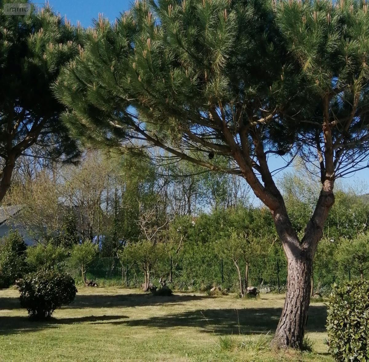 Terrain a batir a vendre Mesquer 44420 Loire-Atlantique 635 m2  254800 euros