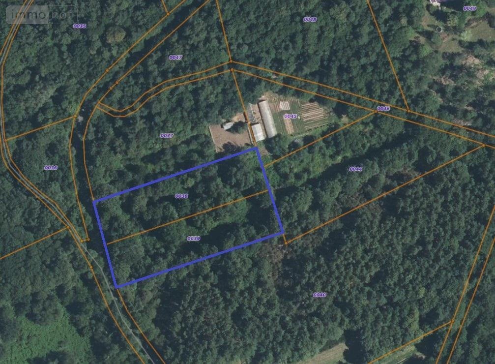 Terrains de loisirs bois etangs a vendre Monteneuf 56380 Morbihan 6010 m2  16400 euros