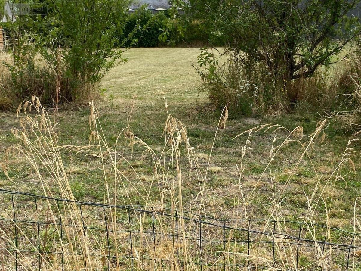 Terrain a batir a vendre Bossée 37240 Indre-et-Loire 723 m2  39900 euros