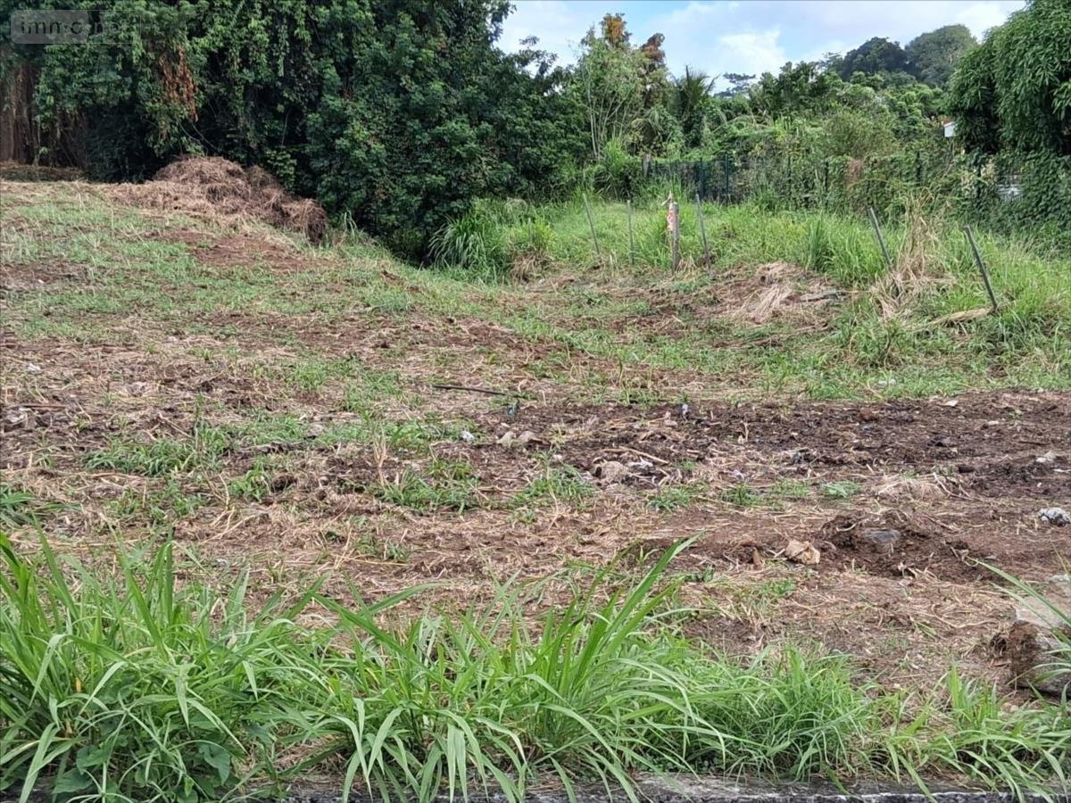 Terrain a batir a vendre Le Lamentin 97232 Martinique 1000 m2  180000 euros