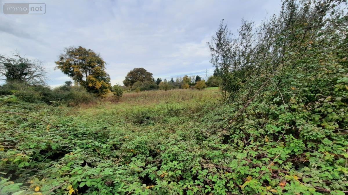 Terrain a batir a vendre Luçay-le-Mâle 36360 Indre 2177 m2  14400 euros