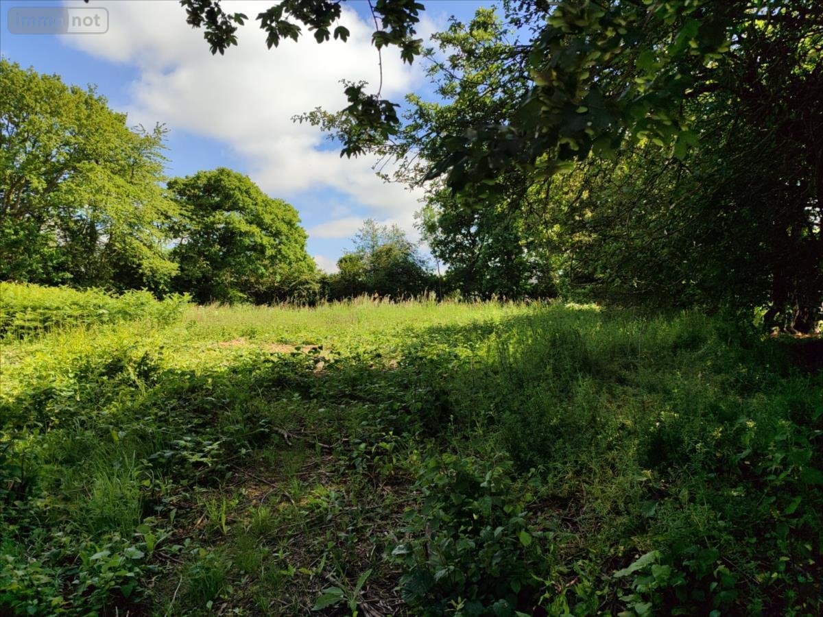 Terrain a batir a vendre Neufmesnil 50250 Manche 2040 m2  23584 euros