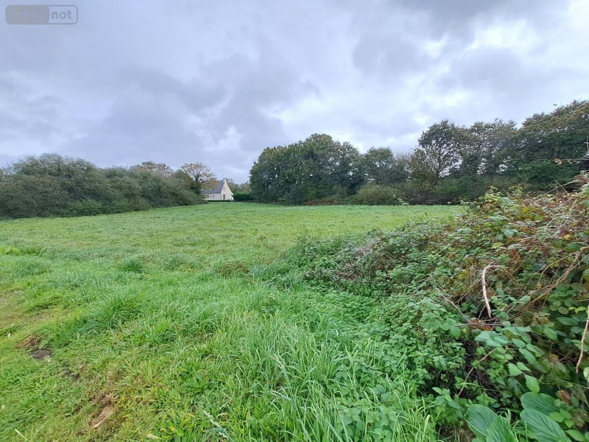 Terrain a batir a vendre Scrignac 29640 Finistère 3565 m2  27500 euros