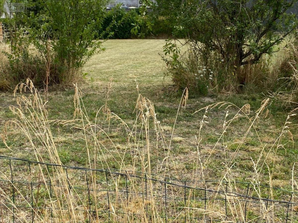 Terrain a batir a vendre Bossée 37240 Indre-et-Loire 723 m2  39900 euros