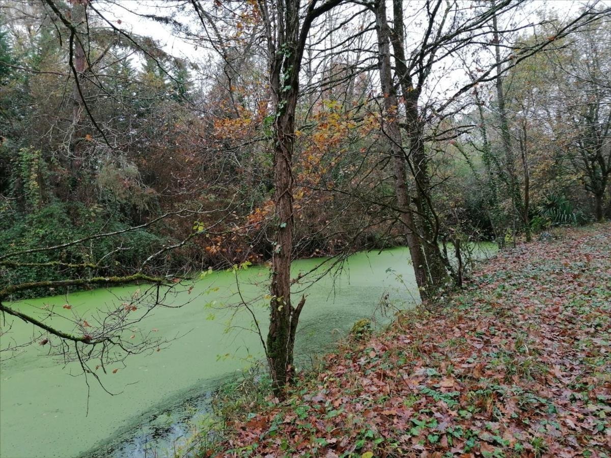 Terrains de loisirs bois etangs a vendre La Celle-Saint-Avant 37160 Indre-et-Loire 3863 m2  13650 euros