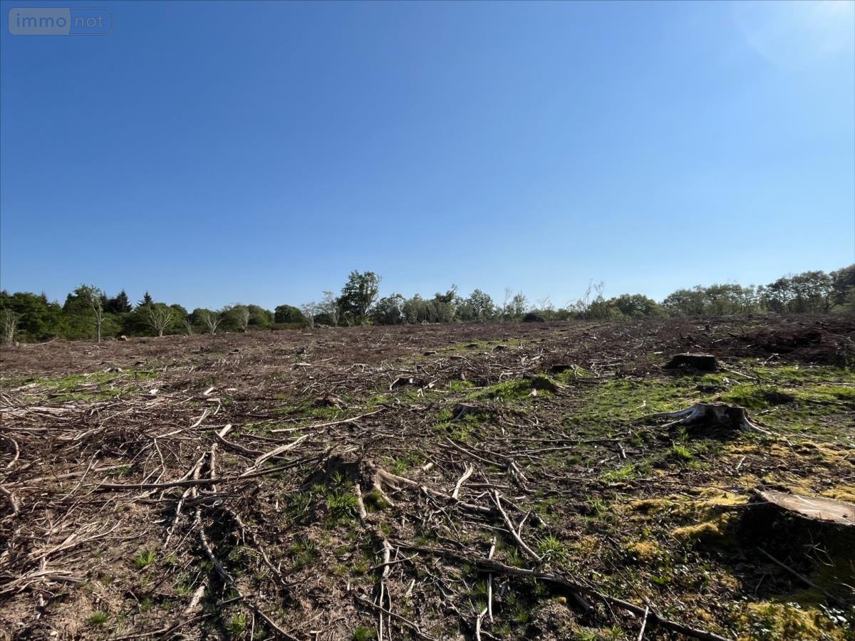 Terrains de loisirs bois etangs a vendre Plourac'h 22160 Côtes-d'Armor 35891 m2  9100 euros
