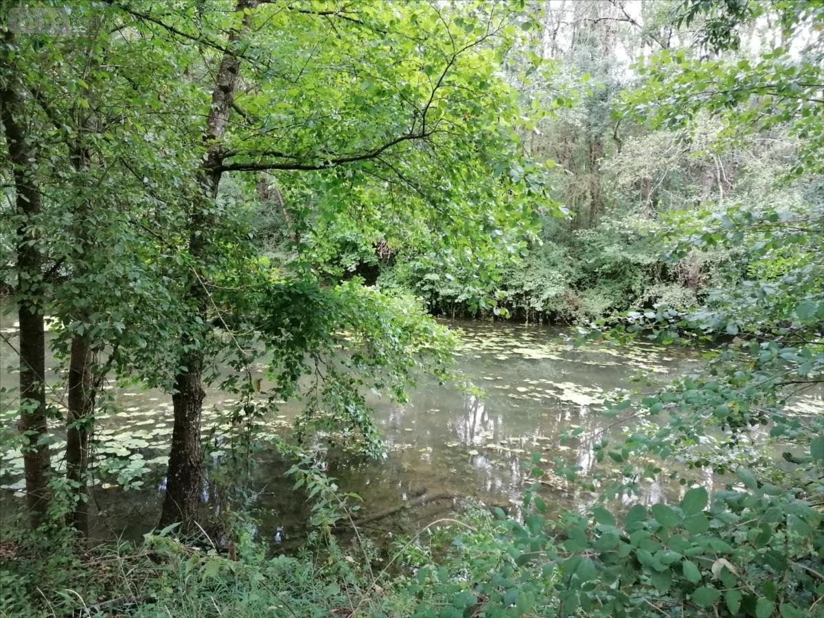 Terrains de loisirs bois etangs a vendre Abilly 37160 Indre-et-Loire 3780 m2  9800 euros