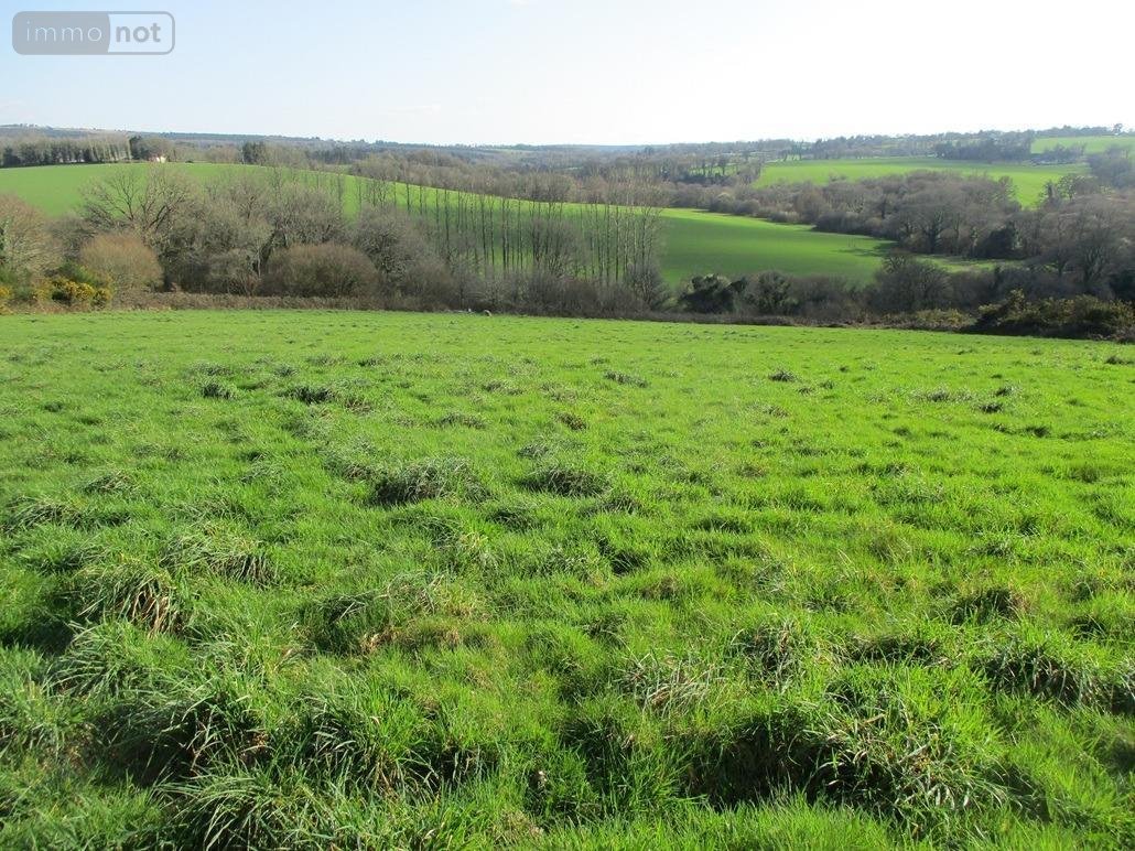 Bien agricole a vendre Plévin 22340 Côtes-d'Armor  42500 euros