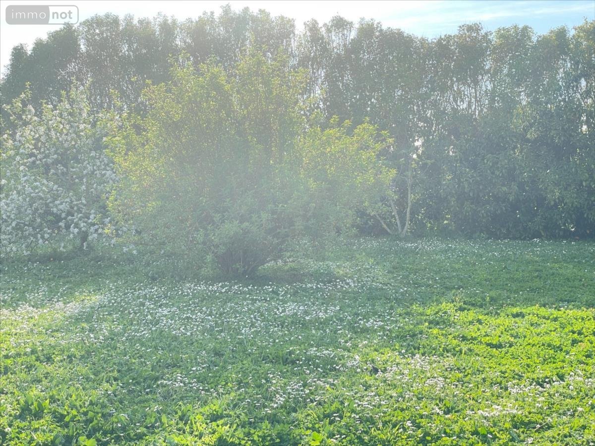 Terrain a batir a vendre Montroy 17220 Charente-Maritime 401 m2  105000 euros