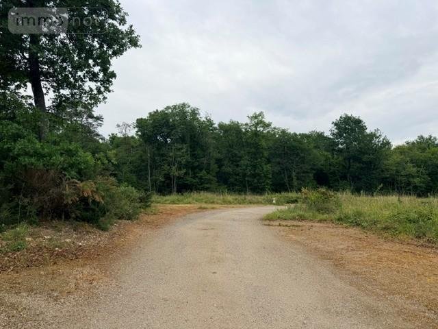 Terrain a batir a vendre Verrie 49400 Maine-et-Loire 704 m2  37900 euros
