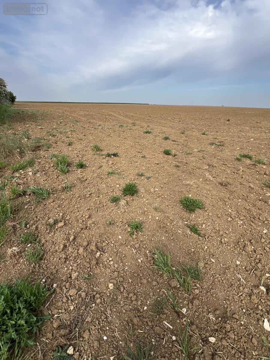 Terrain a batir a vendre Binas 41240 Loir-et-Cher 1104 m2  28000 euros