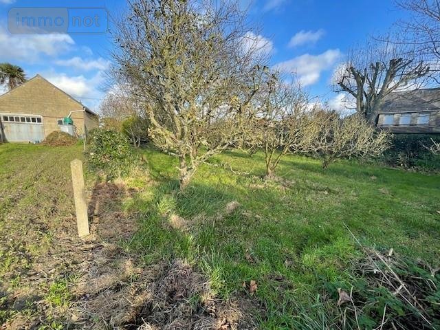 Terrain a batir a vendre Réville 50760 Manche 694 m2  136240 euros
