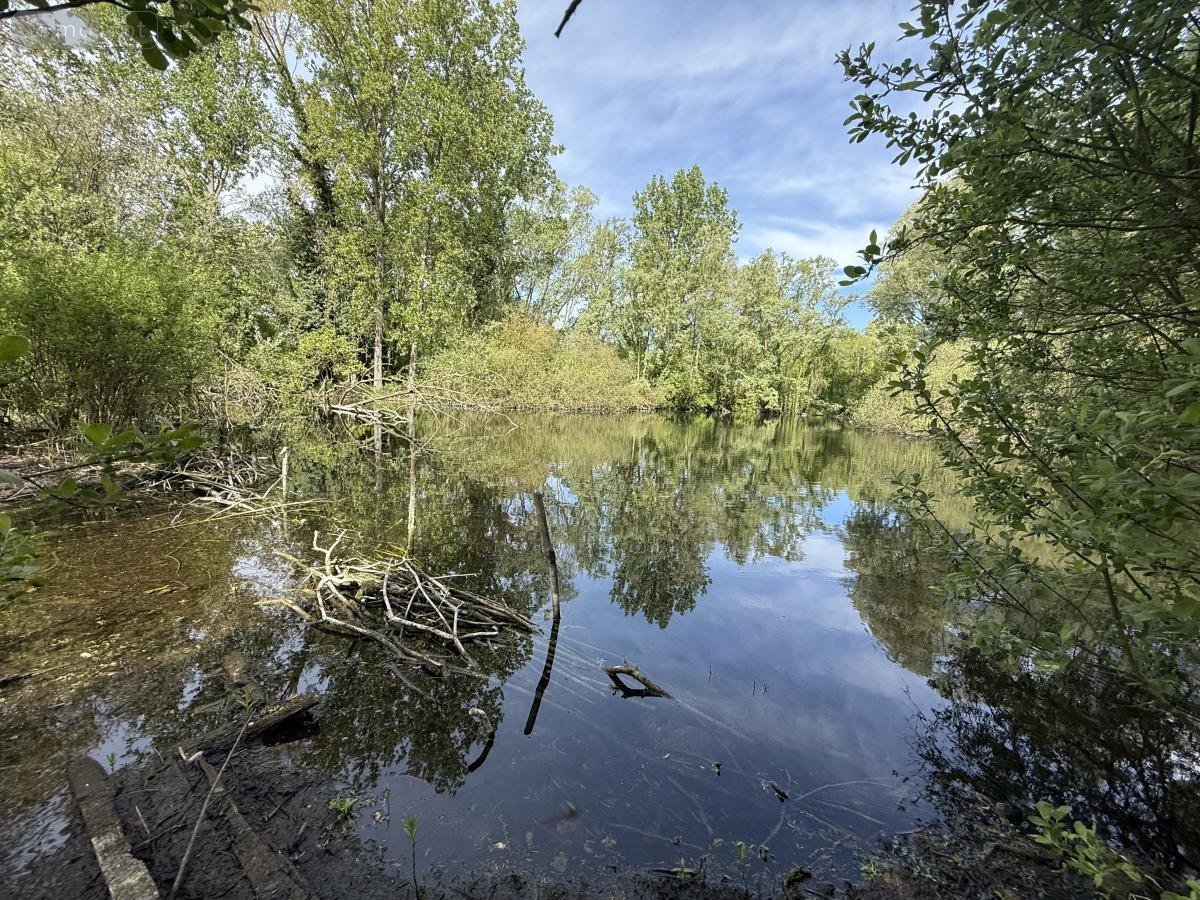 Terrains de loisirs bois etangs a vendre Daours 80800 Somme 7080 m2  28000 euros
