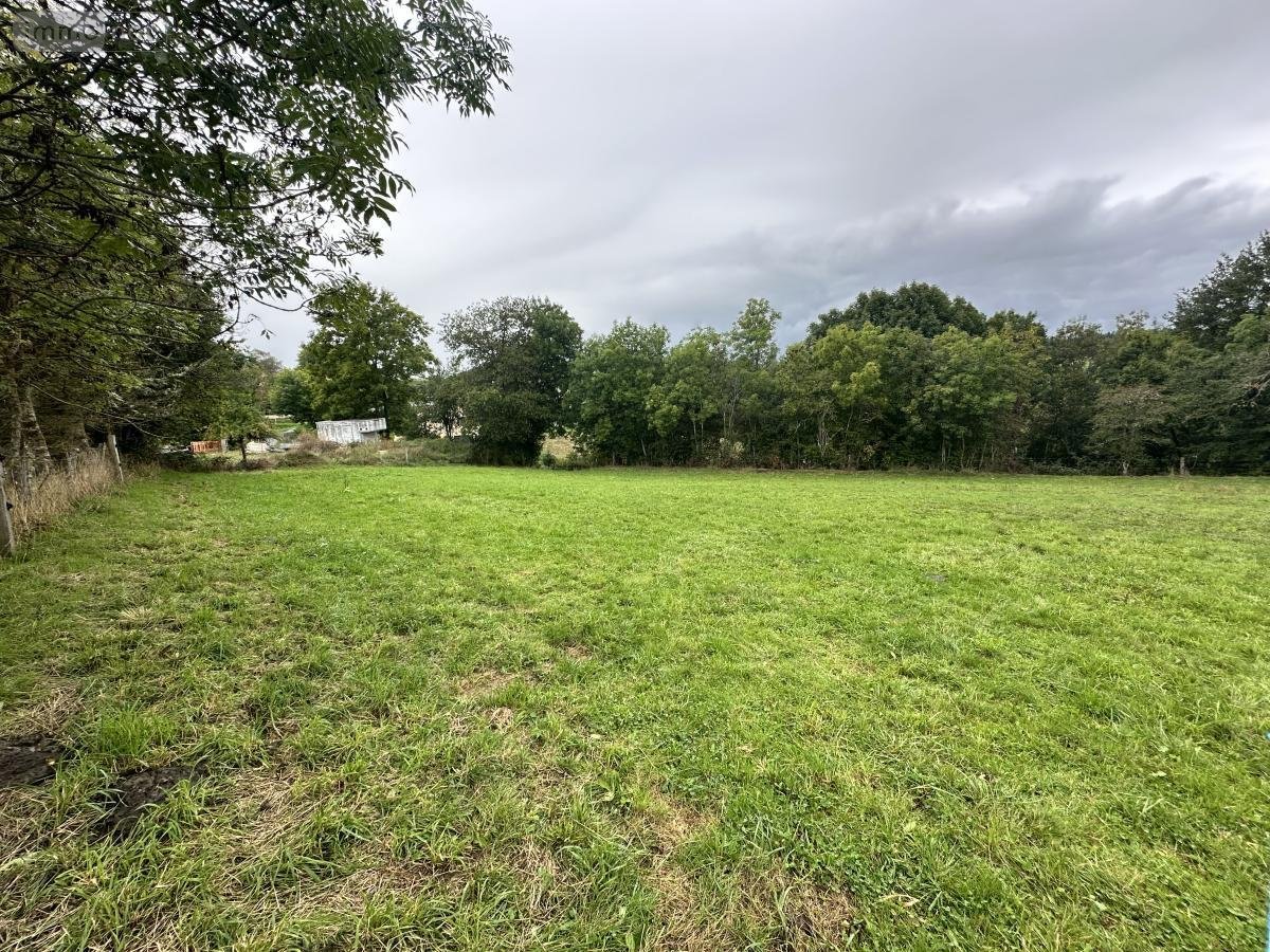 Terrain a batir a vendre Anglards-de-Saint-Flour 15100 Cantal 1399 m2  30000 euros