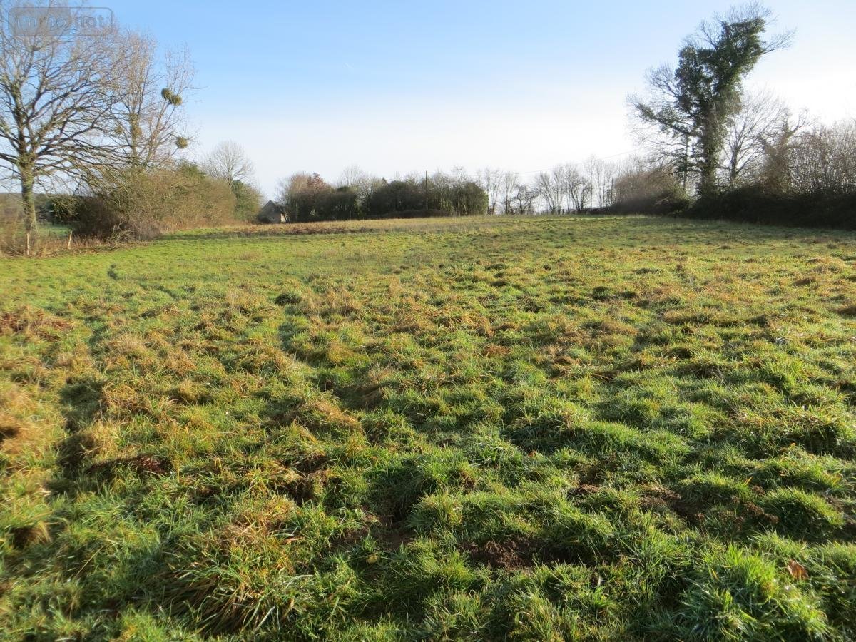 Terrains de loisirs bois etangs a vendre Carville 14350 Calvados 8591 m2  7000 euros