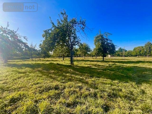 Terrain a batir a vendre Saint-Étienne-la-Thillaye 14950 Calvados 4255 m2  365750 euros