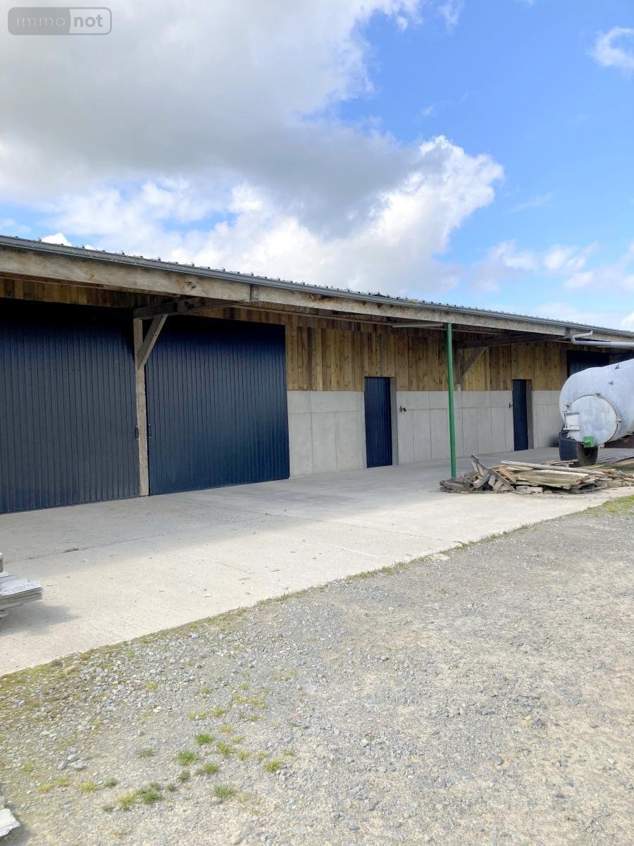 Location divers Montauban-de-Bretagne 35360 Ille-et-Vilaine 200 m2  735 euros