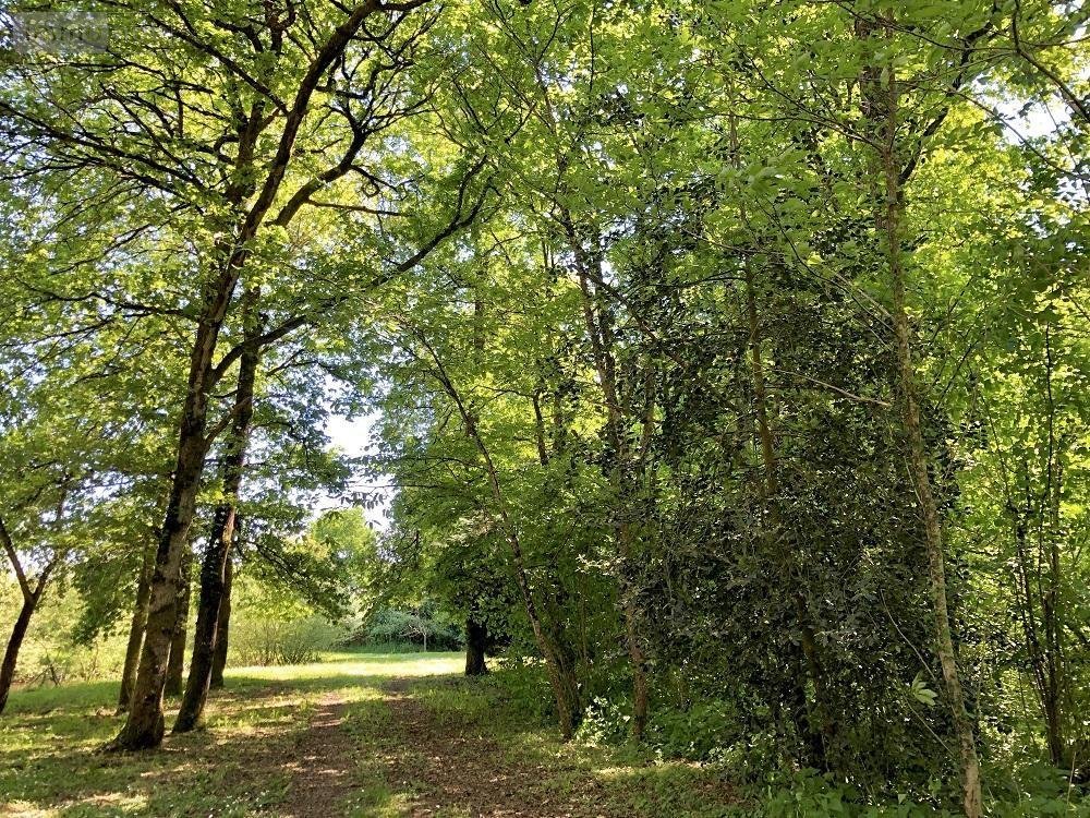 Terrains de loisirs bois etangs a vendre Parcé-sur-Sarthe 72300 Sarthe 10610 m2  19500 euros