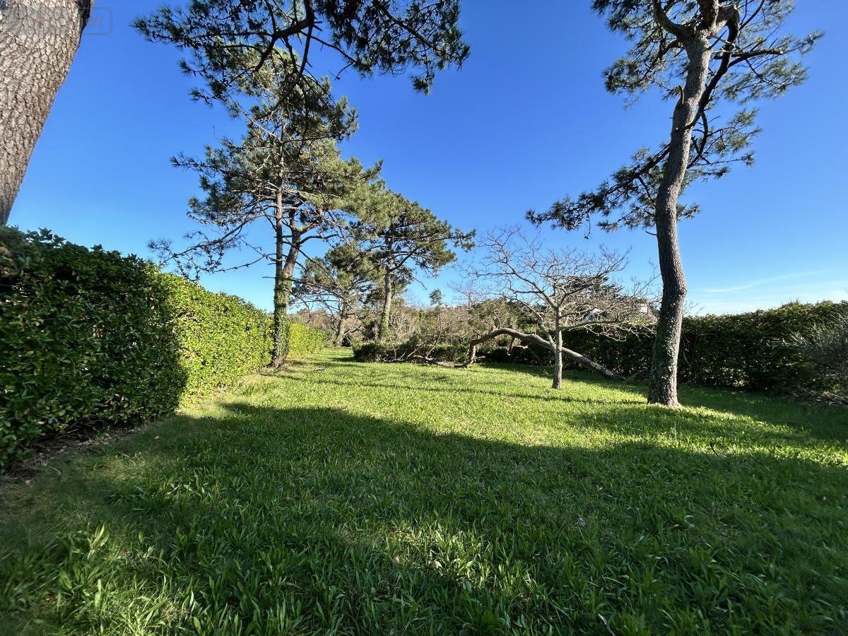 Terrain a batir a vendre Bangor 56360 Morbihan 654 m2  181125 euros