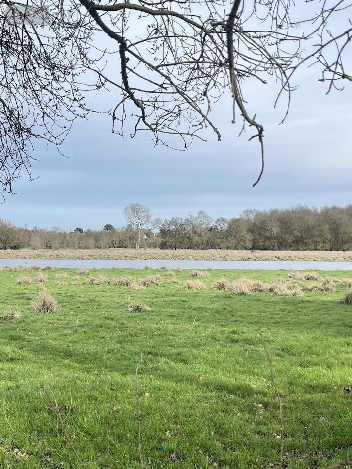 Terrains de loisirs bois etangs a vendre Cantenay-Épinard 49460 Maine-et-Loire 72482 m2  15000 euros
