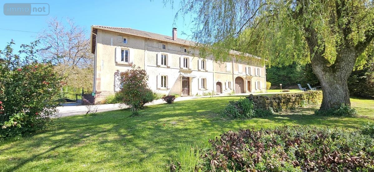 Maison en vente Ménil-sur-Belvitte (88700)