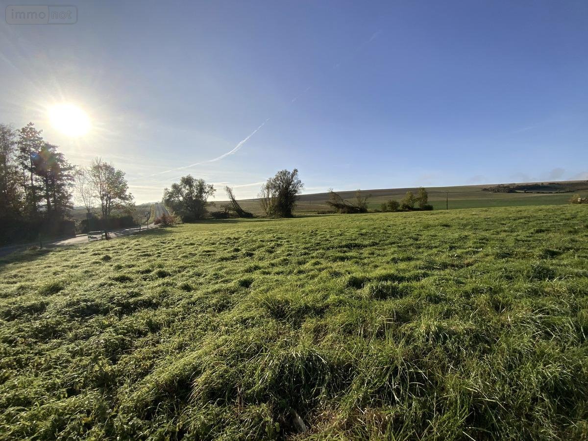 Terrain a batir a vendre Poilly 51170 Marne 700 m2  60000 euros