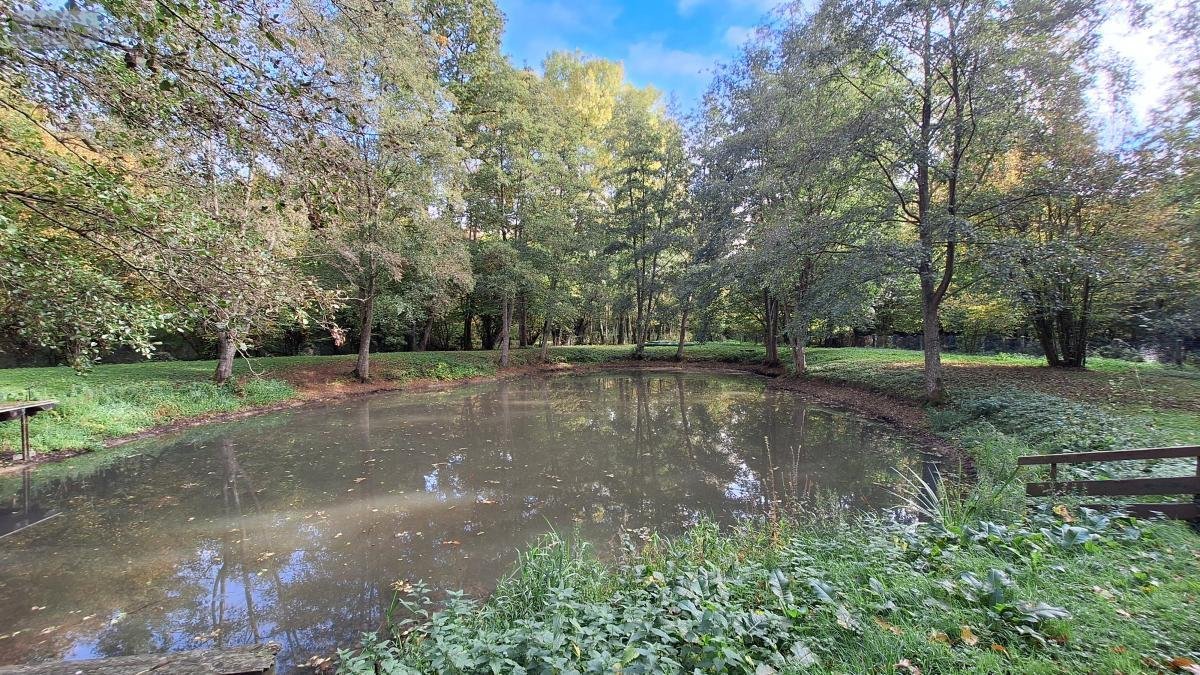 Terrains de loisirs bois etangs a vendre Rebreuve-sur-Canche 62270 Pas-de-Calais 8091 m2  99000 euros