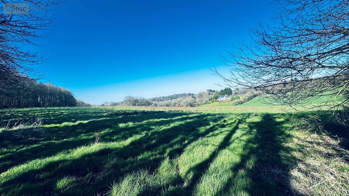 Terrains de loisirs bois etangs a vendre Guilligomarc'h 29300 Finistère 104819 m2  53600 euros