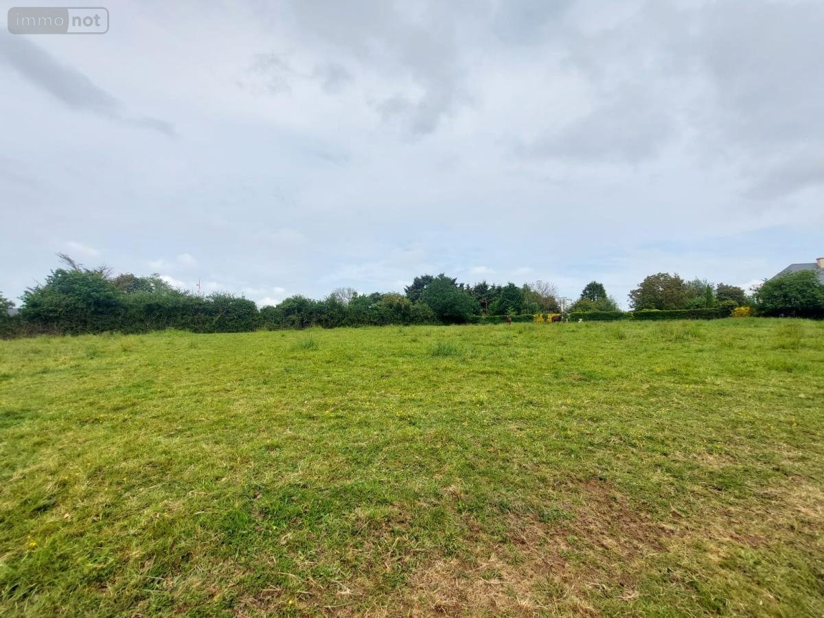 Terrain a batir a vendre Cossé-le-Vivien 53230 Mayenne 6419 m2  168500 euros