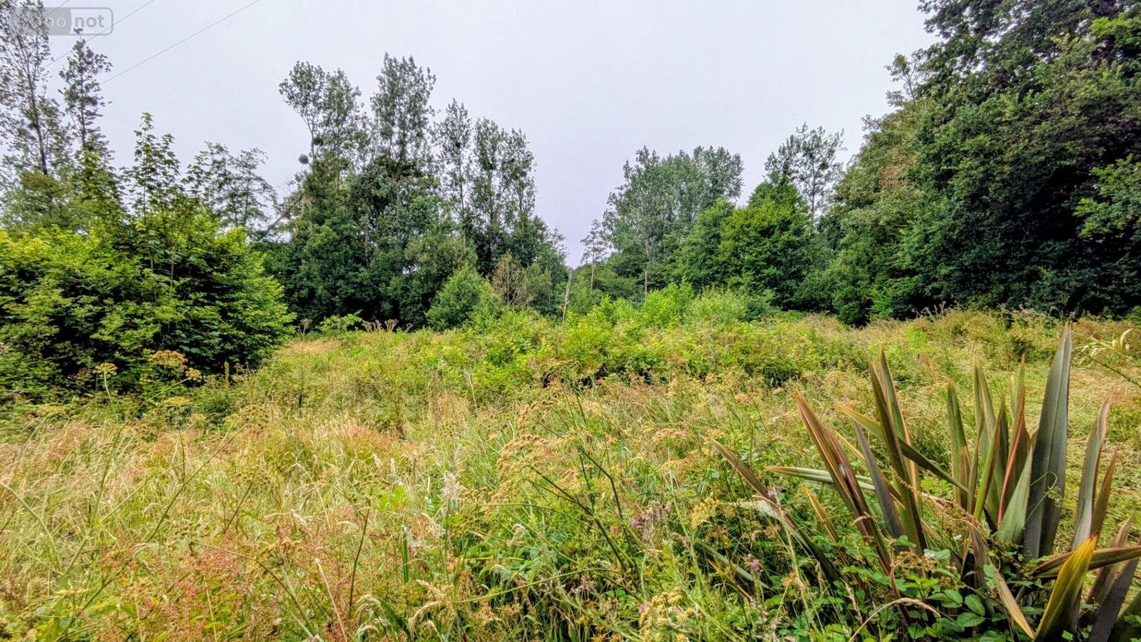 Terrain a batir a vendre Sottevast 50260 Manche 5760 m2  17440 euros