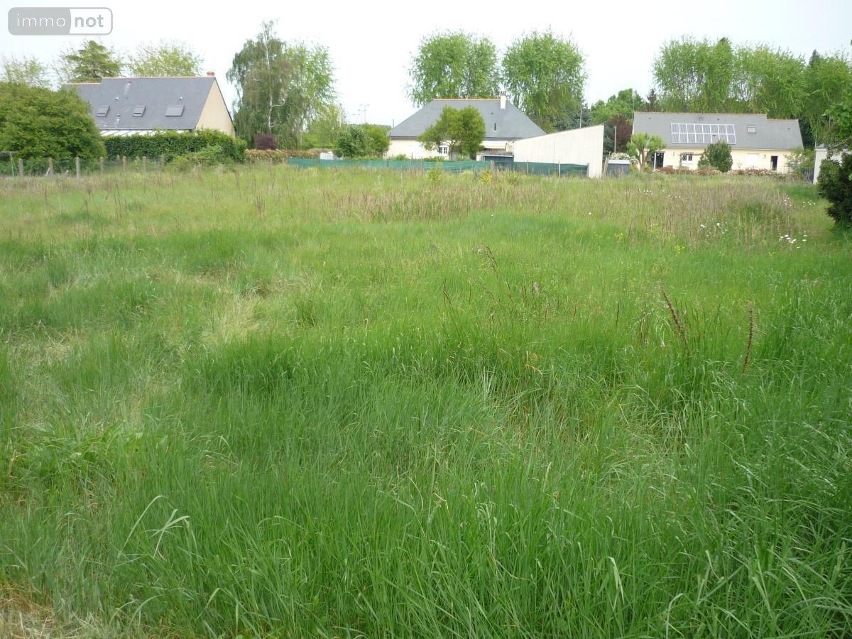 Terrain a batir a vendre Beaufort-en-Anjou 49250 Maine-et-Loire 885 m2  47700 euros