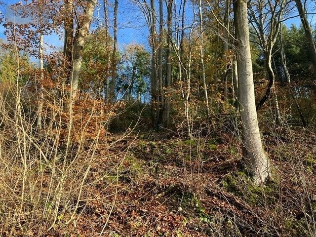 Terrains de loisirs bois etangs a vendre La Vespière Friardel 14290 Calvados 8471 m2  9971 euros