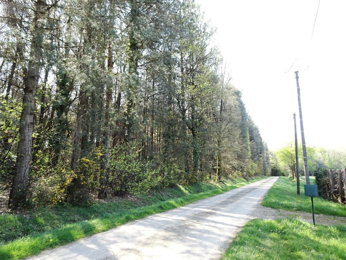 Terrains de loisirs bois etangs a vendre Réminiac 56140 Morbihan 7300 m2  10400 euros