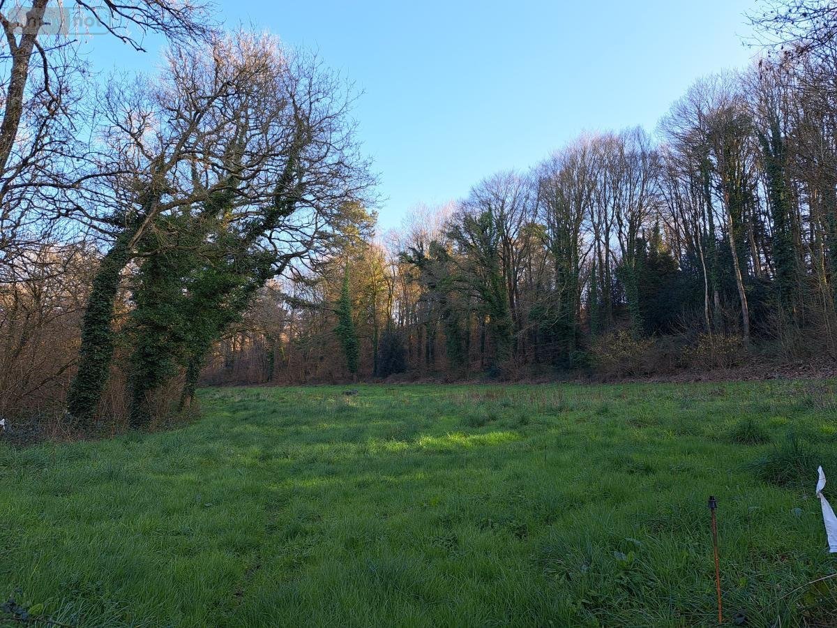 Terrains de loisirs bois etangs a vendre Caouënnec-Lanvézéac 22300 Côtes-d'Armor 11380 m2  8858 euros