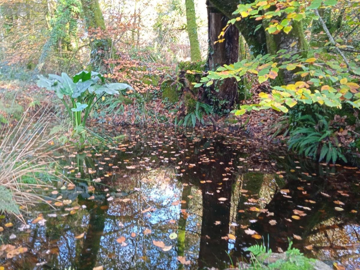 Terrains de loisirs bois etangs a vendre Le Faouët 56320 Morbihan 8980 m2  13600 euros
