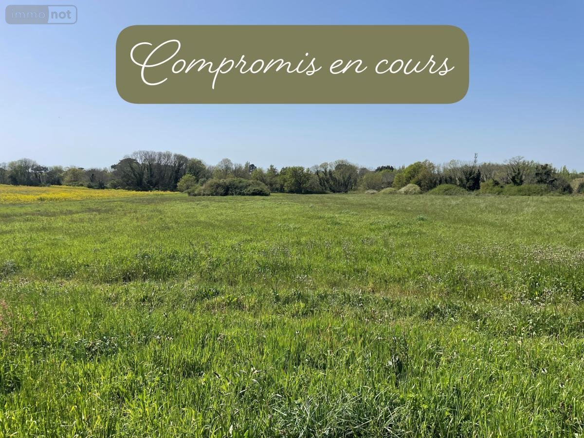 Terrains de loisirs bois etangs a vendre Trégunc 29910 Finistère 4540 m2  9500 euros