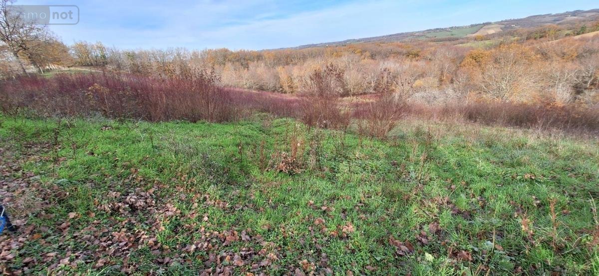Terrains de loisirs bois etangs a vendre Peyrusse-Grande 32320 Gers 57740 m2  39500 euros