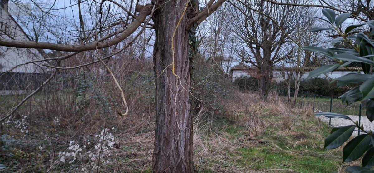 Terrain a batir a vendre Villemandeur 45700 Loiret 643 m2  52000 euros