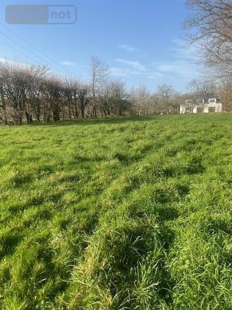 Terrain a batir a vendre Grand-Champ 56390 Morbihan 1323 m2  186300 euros