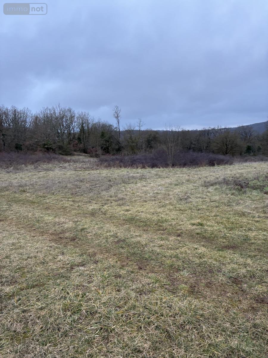 Terrains de loisirs bois etangs a vendre Saint-Jean-d'Alcapiès 12250 Aveyron 80070 m2  54000 euros