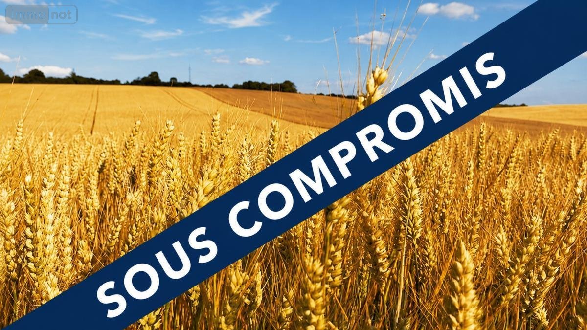 Terrains de loisirs bois etangs a vendre Rosporden 29140 Finistère 128965 m2  79500 euros