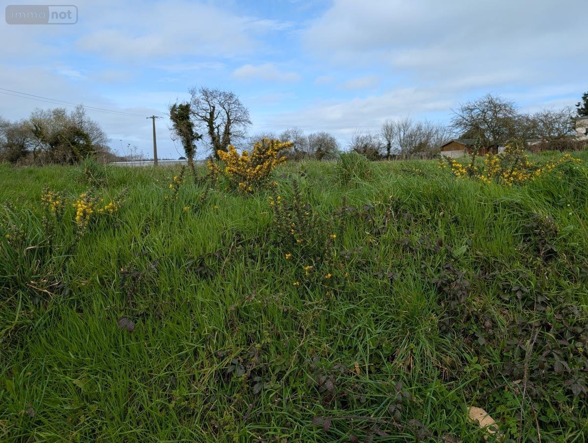 Terrain a batir a vendre Plouha 22580 Côtes-d'Armor 1707 m2  241500 euros