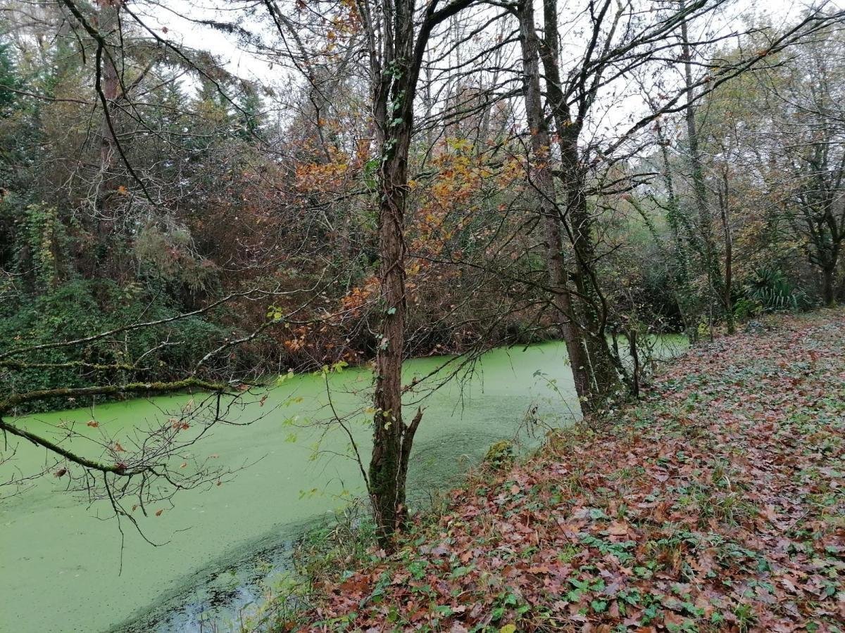 Divers a vendre La Celle-Saint-Avant 37160 Indre-et-Loire 3863 m2  13650 euros